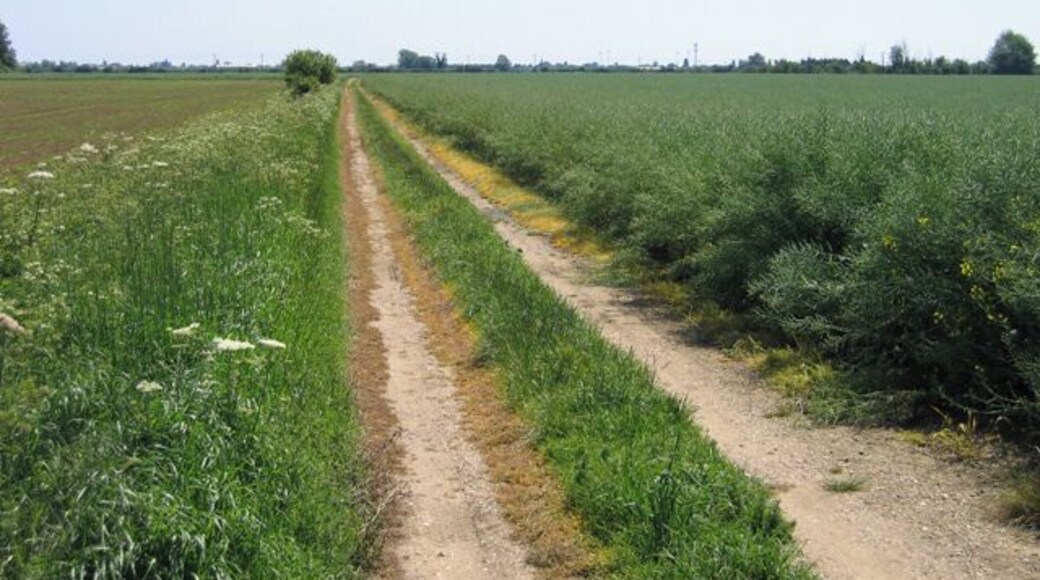 Farm track off Meadow Road, Langtoft, Lincs