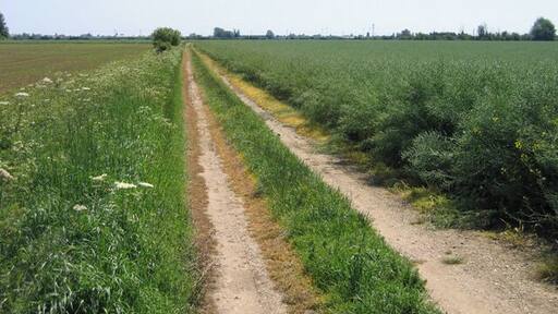 Farm track off Meadow Road, Langtoft, Lincs
