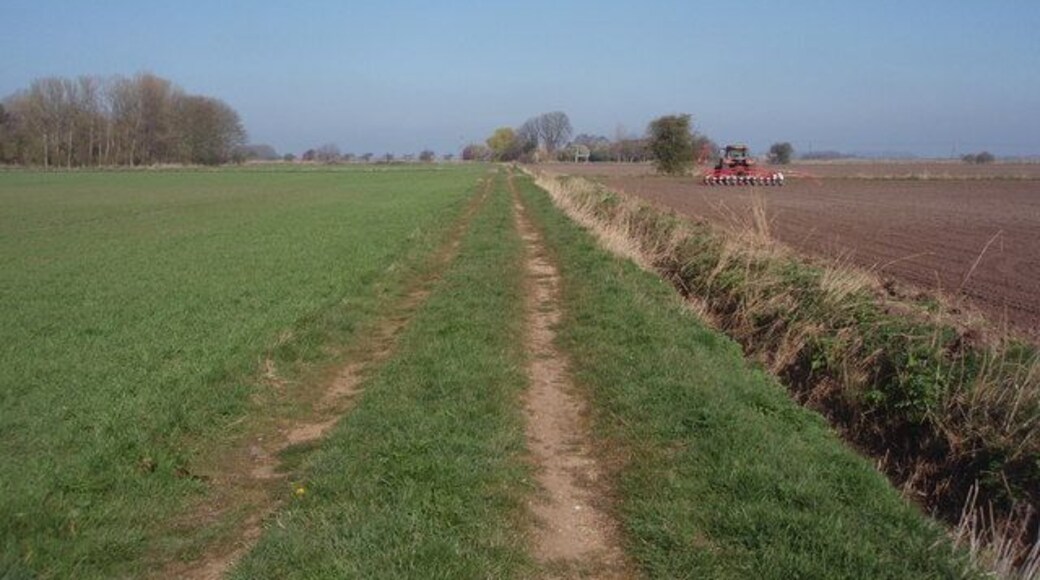 Farmland near Twopenny Cut Farm A farm track leading towards Twopenny Cut Farm.