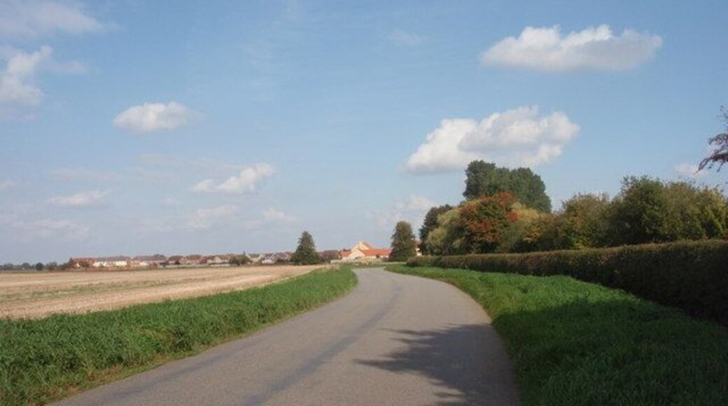 Stowe Road Looking along Stowe Road to Langtoft. West Field is on the left.