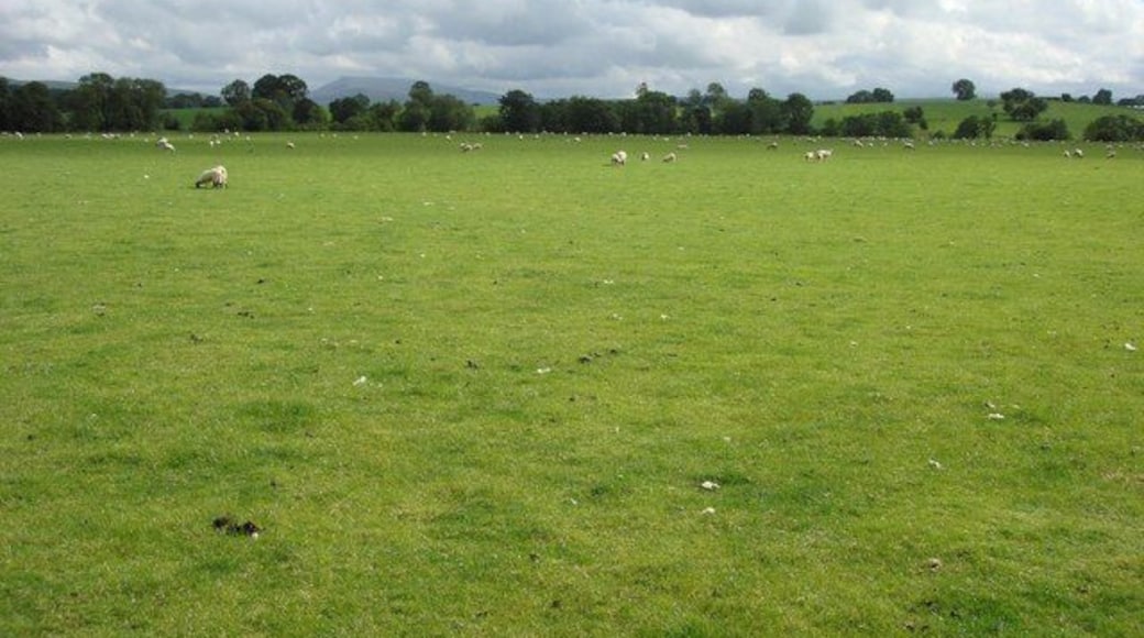 River Belah meadows, looking towards Wild Boar Fell