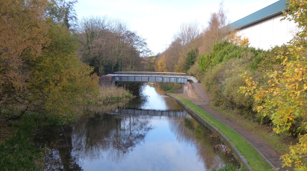 I got of the Midland Metro tram at Wednesbury Parkway, and walked up Hallens Drive and got onto the Walsall Canal. I walked as far as Patent Drive (before walking in the direction of Wednesbury town centre). The Willingsworth Hall Bridge - I got off the canal here on Patent Drive. Next bridge along. Moorcroft Junction Foot and Pipe Bridge Moorcroft Junction