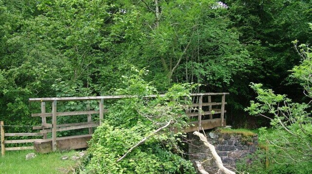 Footbridge over Argill Beck This area is so delightful and secluded I feel guilty advertising it!