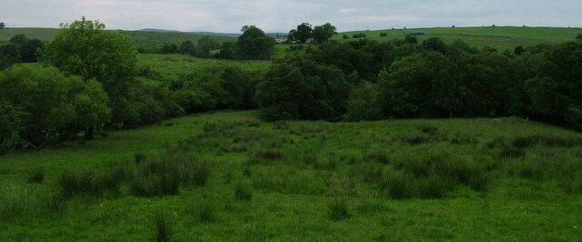 A lush green field with scattered trees and a distant view of a hill.