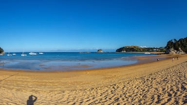 Kaiteriteri beach view, Abel Tasman national park