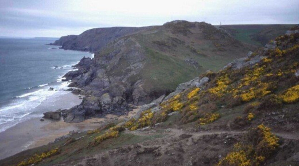 Soar Mill Cove Looking north-west towards Bolt Tail.