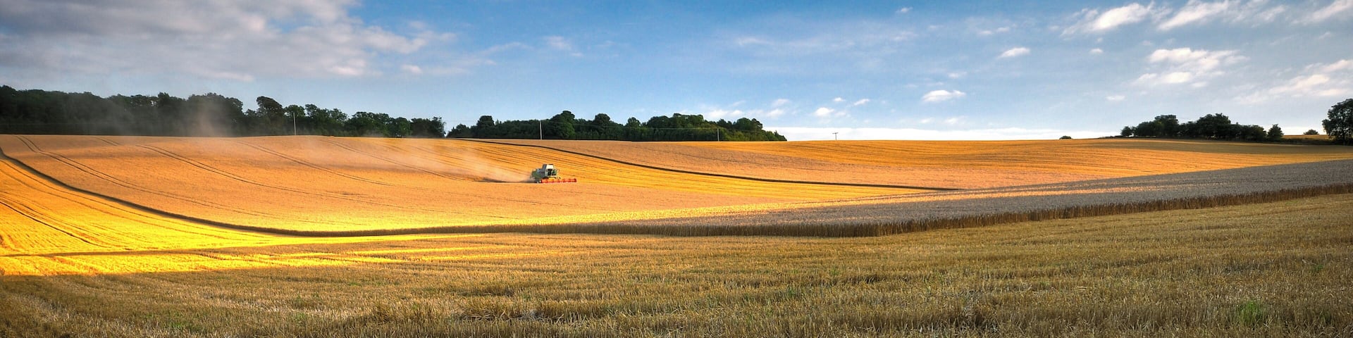 As luck would have it, farmers were busy harvesting on my walk up to Pegsdon. I think next time I'd have gone for a closer shot of the combine, it's drowning in the field here! I've put this up on Redbubble if you'd like a card, print or poster.