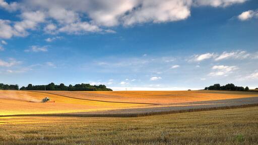 As luck would have it, farmers were busy harvesting on my walk up to Pegsdon. I think next time I'd have gone for a closer shot of the combine, it's drowning in the field here! I've put this up on Redbubble if you'd like a card, print or poster.