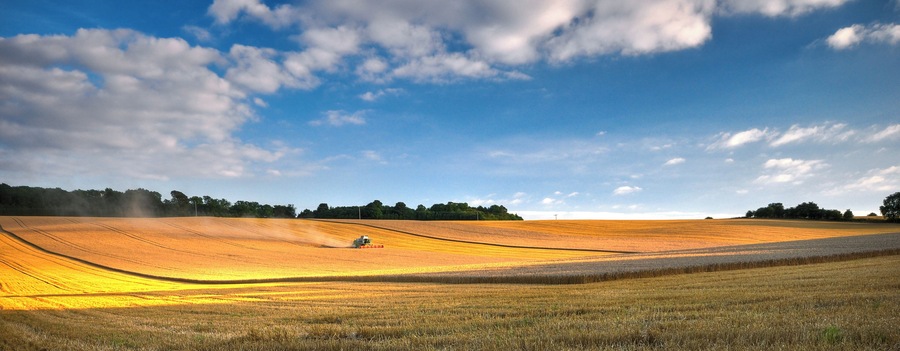 As luck would have it, farmers were busy harvesting on my walk up to Pegsdon. I think next time I'd have gone for a closer shot of the combine, it's drowning in the field here! I've put this up on Redbubble if you'd like a card, print or poster.