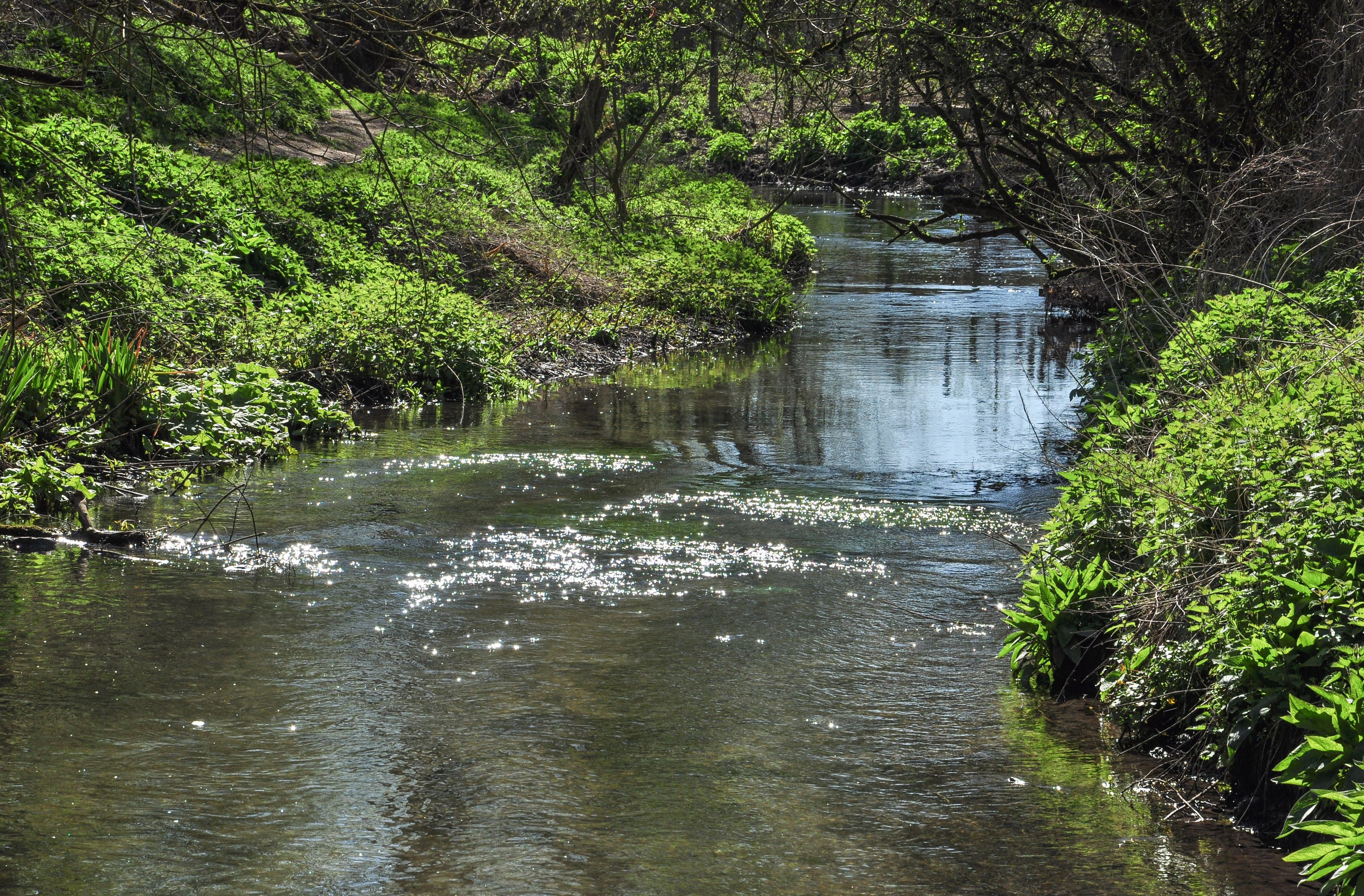 Um rio serpenteando por uma floresta densa e verde, com a luz do sol refletindo na água.