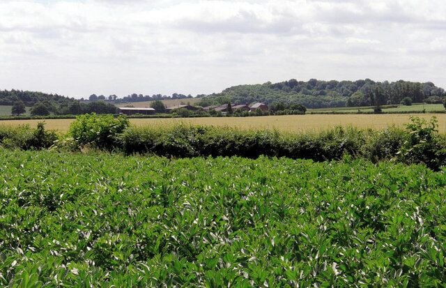 Lilly Bottom Farm. Lilly Bottom Farm seen from the 'Chiltern Way.'