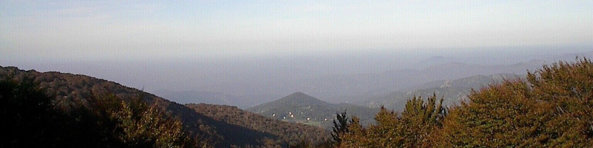 Un paisaje montañoso con bosques densos y cielo despejado.