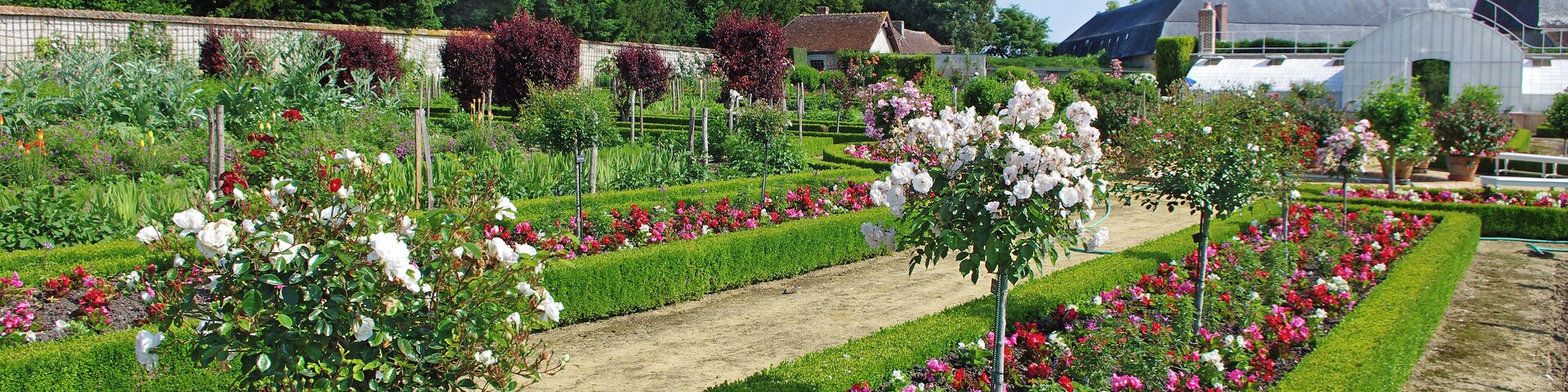 Le jardins de fleurs. En 1759, Charles-François Leblanc de Manarval, maître de forges et Directeur de la Manufacture royale de draps de Châteauroux, acquiert les terres de Bouges. Il fait édifier le château bâti en pierre de taille, dont on attribue la construction à l'architecte du Roi Jacques-Ange Gabriel(1698-1782). En 1818, Talleyrand acquiert le château pour y installer sa chère nièce, la Duchesse de Dino. En 1917, le château est acquit par Henri Viguier, Président-directeur général du Bazar de l'Hôtel de Ville. Sans enfants, Henri Viguier lèguera le château à la Caisse nationale des monuments historiques en 1968. En acquérant Bouges, Henry Viguier peut se consacrer à son amour du cheval, et place cet animal au centre de tous ses loisirs de châtelain : chasses, promenades, pique-niques, voyages ou approvisionnement du château. Propriétaire d’une écurie de courses, il aime particulièrement les beaux attelages. In 1759, Charles-François Leblanc Manarval, ironmaster and Director of the Royal Manufactory sheets Chateauroux, acquires land Dens. He built the stone buildings, the construction of the King's architect Jacques-Ange Gabriel (1698-1782) is credited castle. In 1818, Talleyrand bought the castle to install his beloved niece, the Duchess of Dino. In 1917, the castle was acquired by Henry Viguier, CEO of Bazar de l'Hotel de Ville. Without children, Henry Viguier bequeathed the castle to the National Fund for Historical Monuments in 1968. L’ancien potager est depuis madame Viguier, dédié à la culture des fleurs. The old vegetable garden is from Mrs. Viguier, dedicated to the cultivation of flowers.