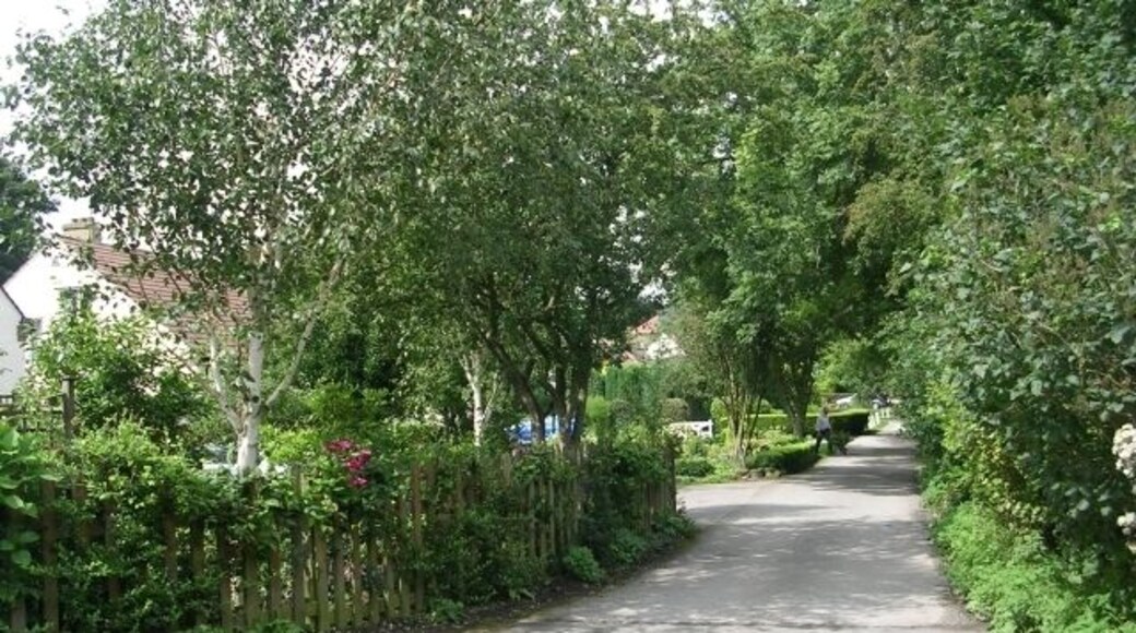 Westbourne Drive - Menston