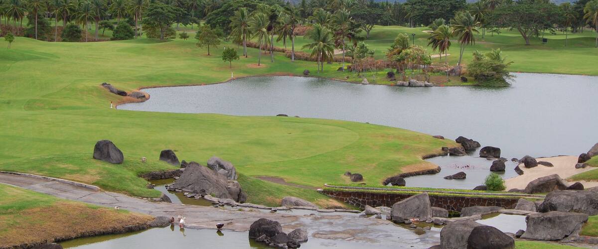 A golf course with a pond, palm trees, and mountains in the background.