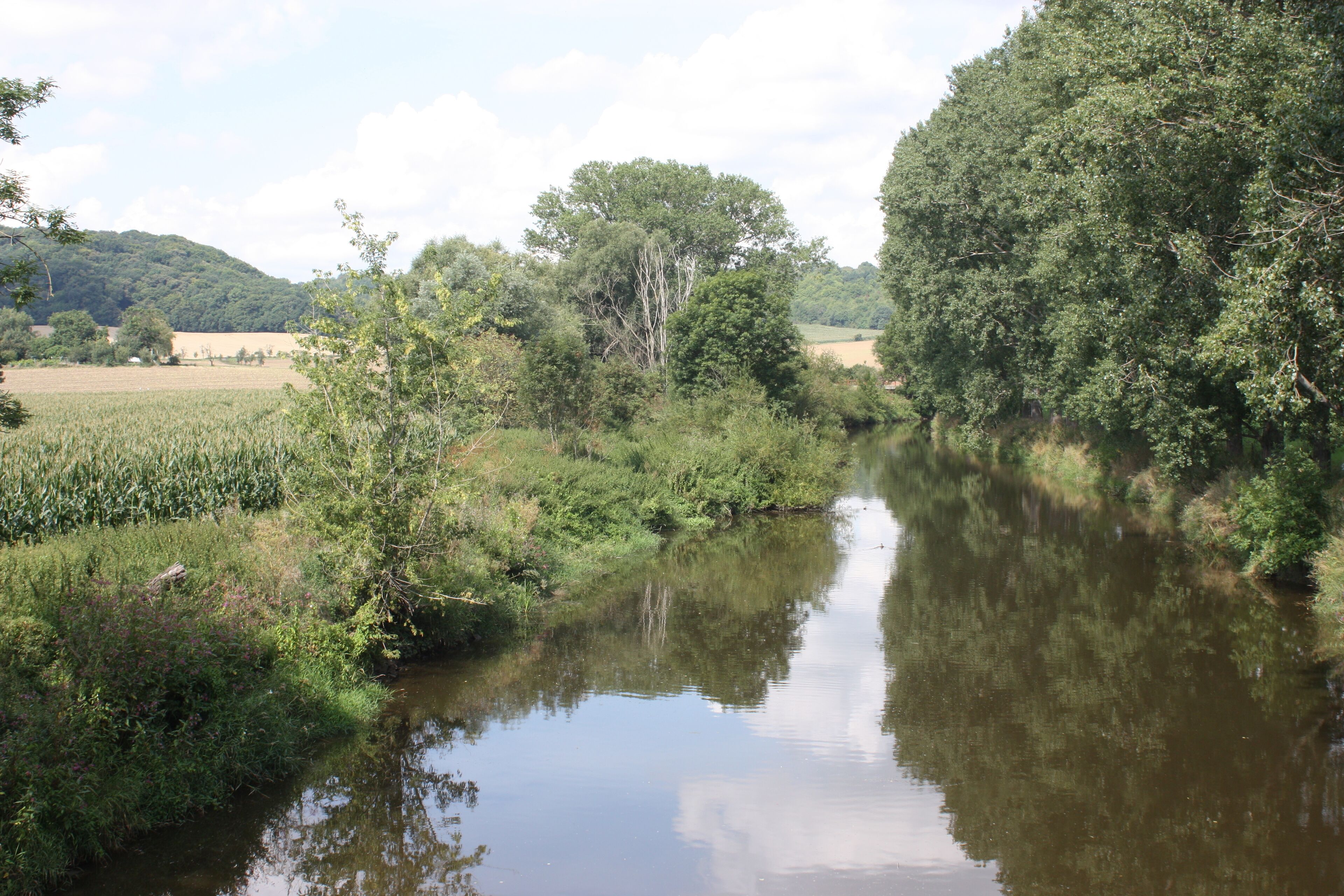 A river with dense trees on both sides, a field in the background, and a hill in the distance.