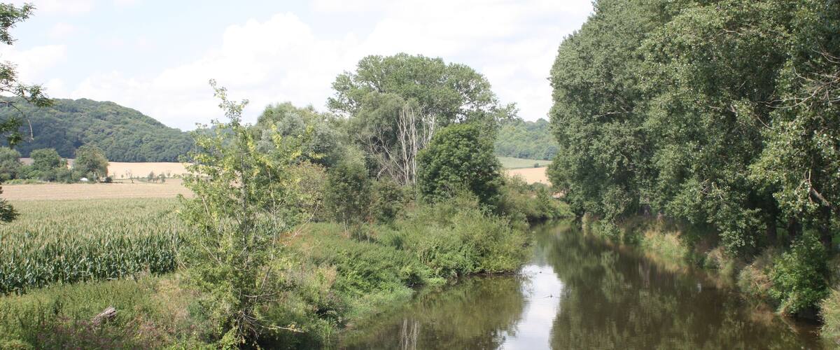 A river with dense trees on both sides, a field in the background, and a hill in the distance.