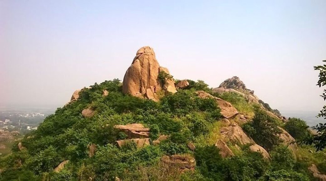 JOYCHONDI PAHAR