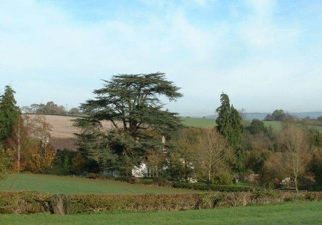Peterstow Church. Looking North from the A49 towards Peterstow Church - (left of centre but quite well camouflaged!)