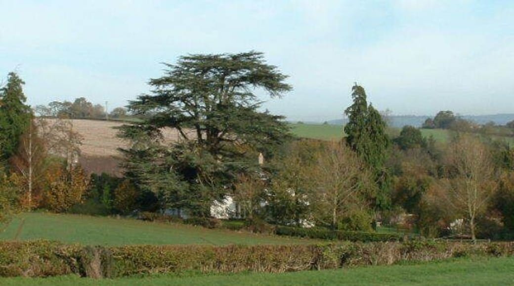 Peterstow Church. Looking North from the A49 towards Peterstow Church - (left of centre but quite well camouflaged!)