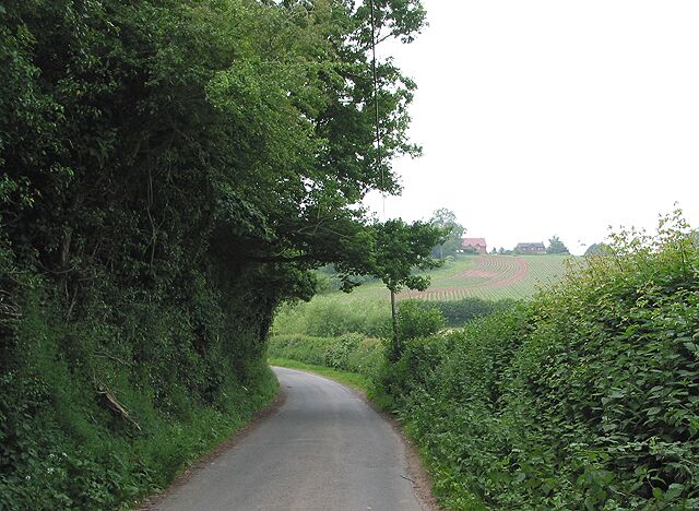 Road from Upton Bishop to Upton Crews Heading south-west across the little valley and up to the houses on the ridge at Upton Crews.
