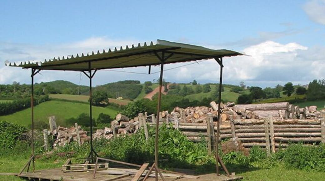 Felled trees and rickety shelter off the B4221 The red stripe down the centre of the field in the distance is part of the construction of the Felindre to Tirley pipeline.