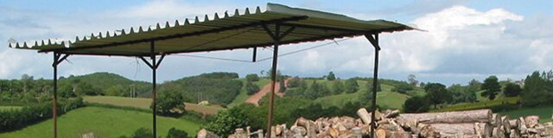 Felled trees and rickety shelter off the B4221 The red stripe down the centre of the field in the distance is part of the construction of the Felindre to Tirley pipeline.