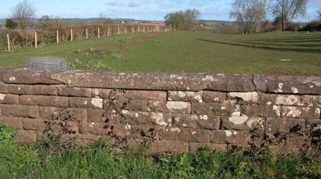Course of the old Ross to Hereford railway. Viewed from the old railway bridge carrying a track to Strangford, at some time the railway cutting has been filled in.