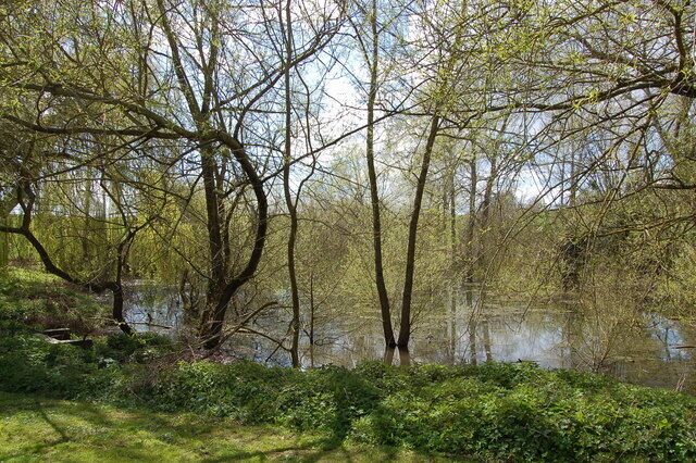 Weeping willows at the Old Lough Pool The Old Lough Pool near Sellack gives its name to the adjoining inn.