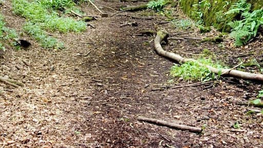 The northern portal of the tunnel near Welsh Bicknor. There was an icy blast of air blowing out of this end.
