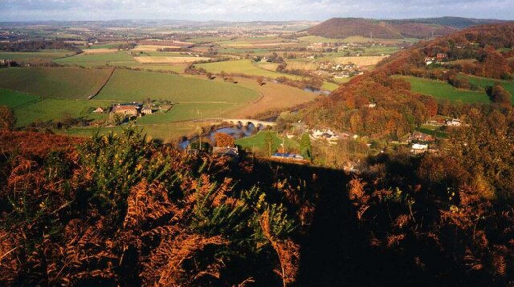 The top of Coppet Hill Coppet Hill provides a good viewpoint (as good as Symonds Yat but with no crowds). Looking north-east over Kerne Bridge and the river Wye, with some good autumn colour.