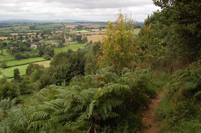 Footpath on Coppett Hill