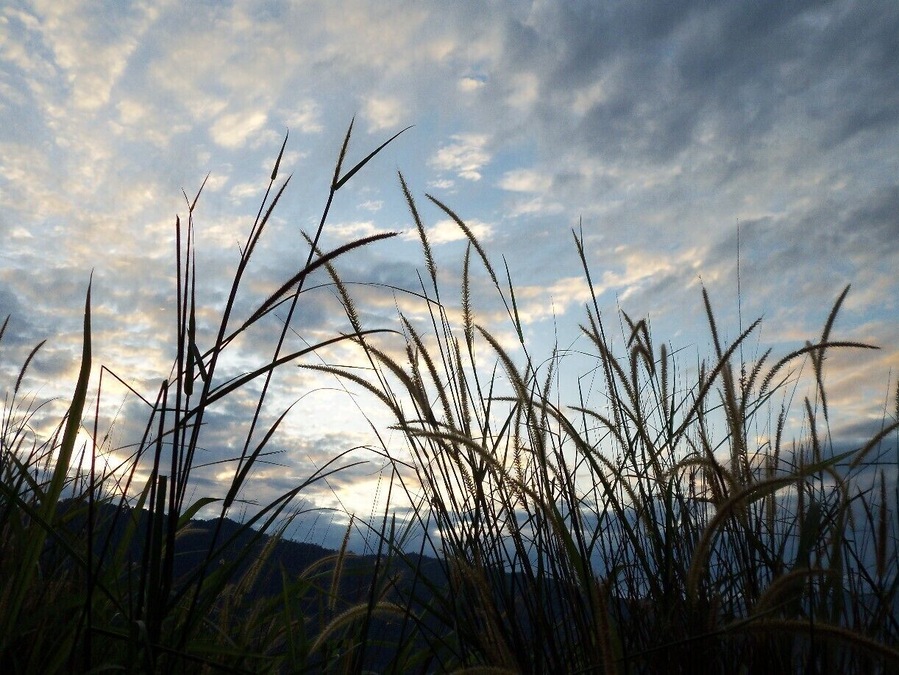 Subhanalla
Amazing
what a great view 
it is worth it to climb up the hill
to watch the sunrise