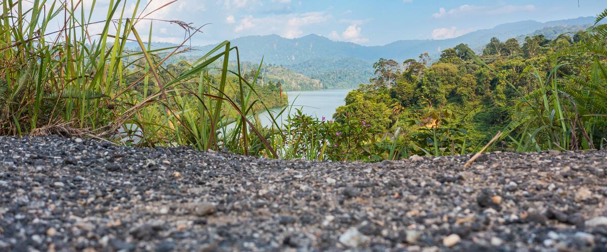 A gravel path leading to a lake surrounded by lush greenery and mountains.