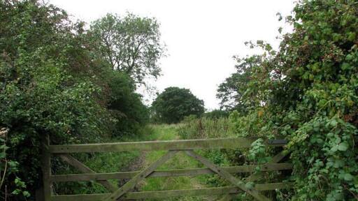 Field gate near ford in Letheringsett