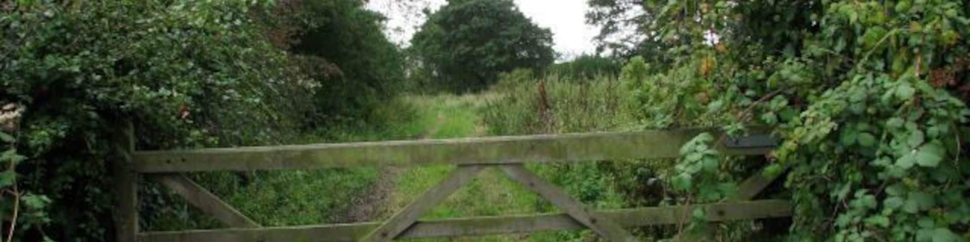 Field gate near ford in Letheringsett