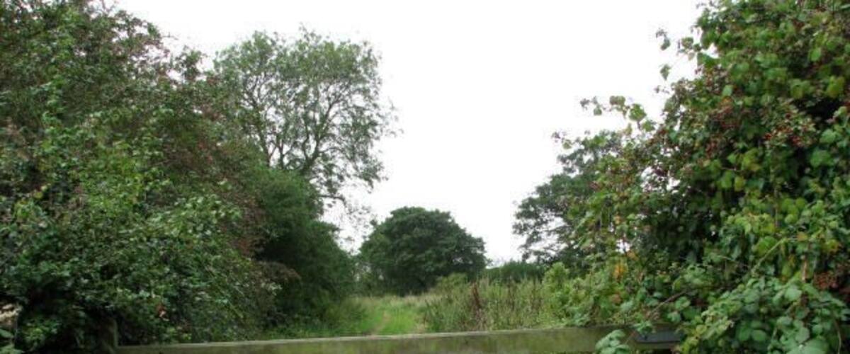 A rustic wooden gate in a rural setting.