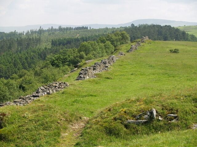 Old wall, Craig-y-perchyll Looking towards the Lletty-Rhys plantation.