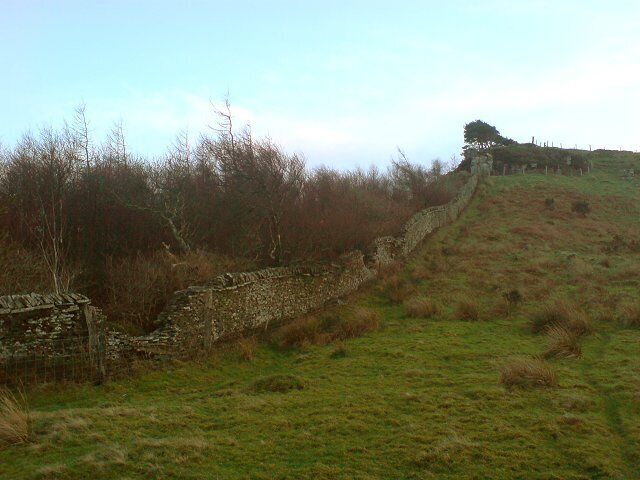 Dry stone wall A dry stone wall on the north side of Mynydd Drumau