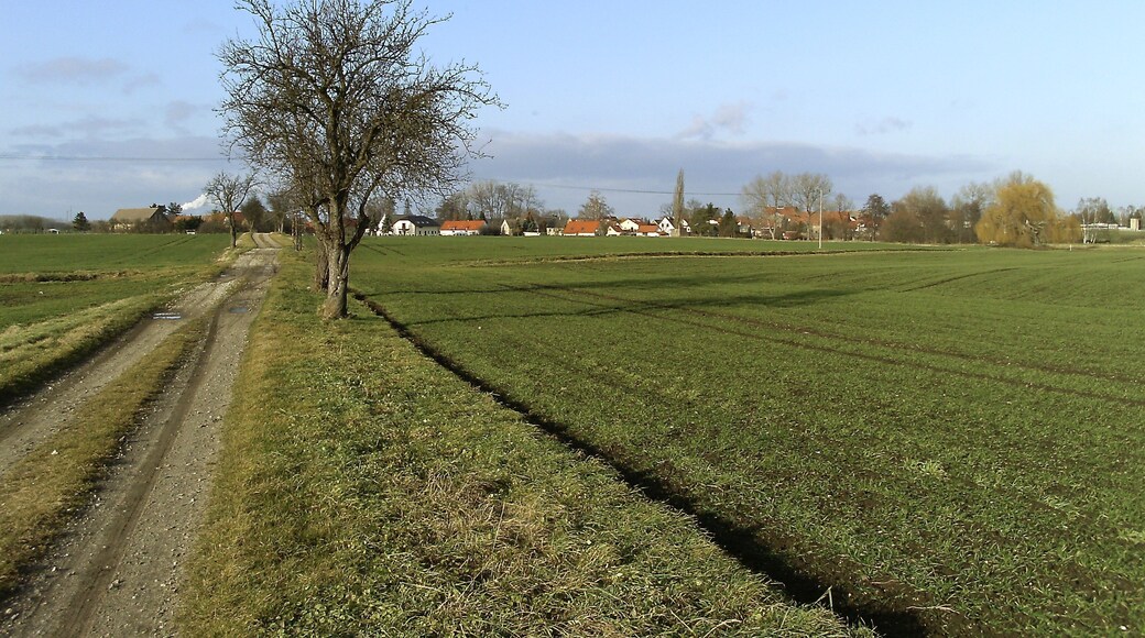 Zscherneddel (Leuna, district of Saalekreis, Saxony-Anhalt) from the south-east