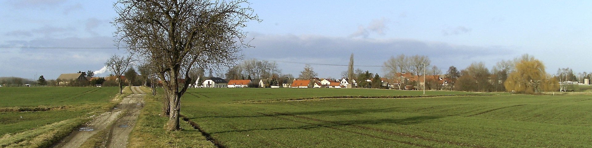 Zscherneddel (Leuna, district of Saalekreis, Saxony-Anhalt) from the south-east
