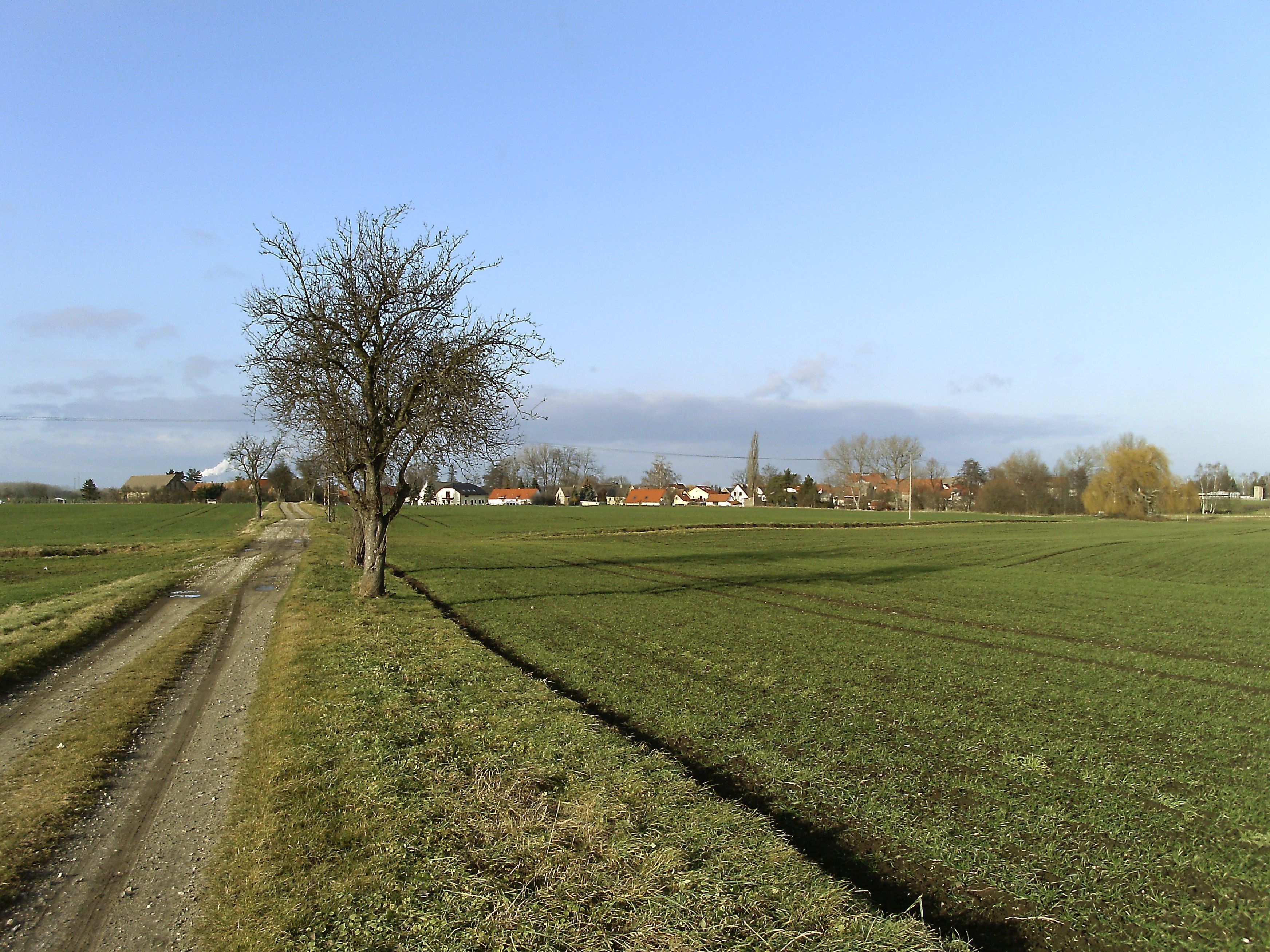 A rural landscape with a dirt path, green fields, and houses in the background.