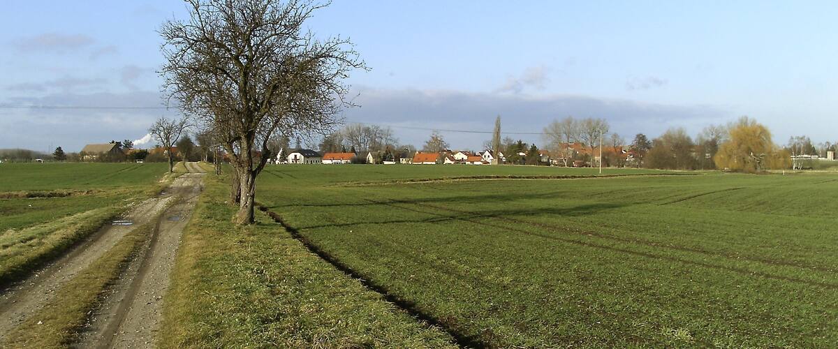 A rural landscape with a dirt path, green fields, and houses in the background.
