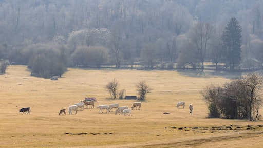 Altipiani di Arcinazzo