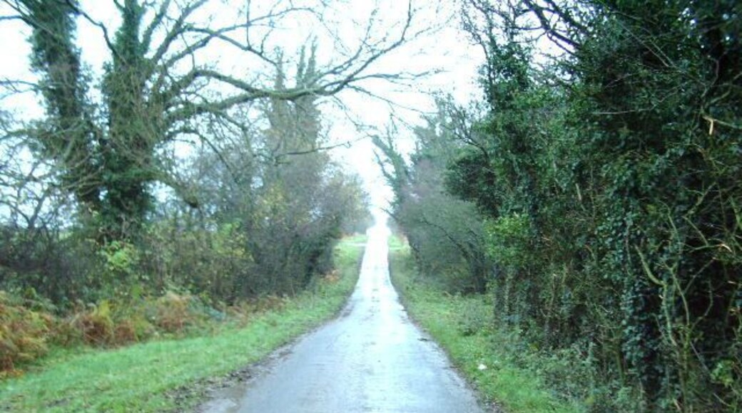Randlaw Lane Looking NE along Randlaw Lane