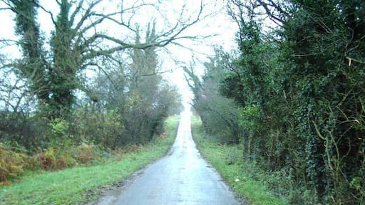Randlaw Lane Looking NE along Randlaw Lane