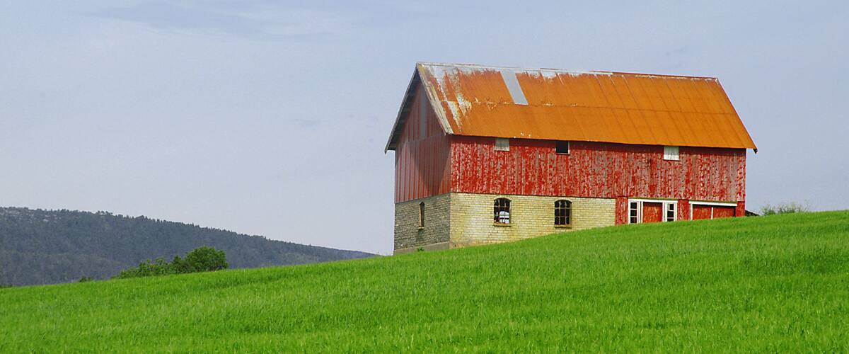 A red barn with a metal roof on a grassy hill.