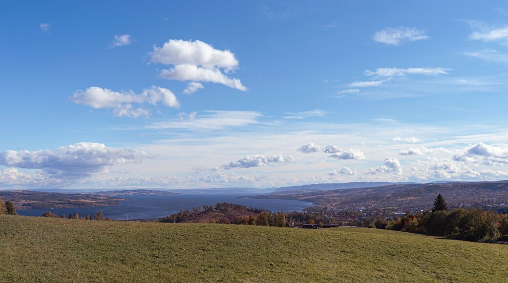 อูสเตร ทูทึน