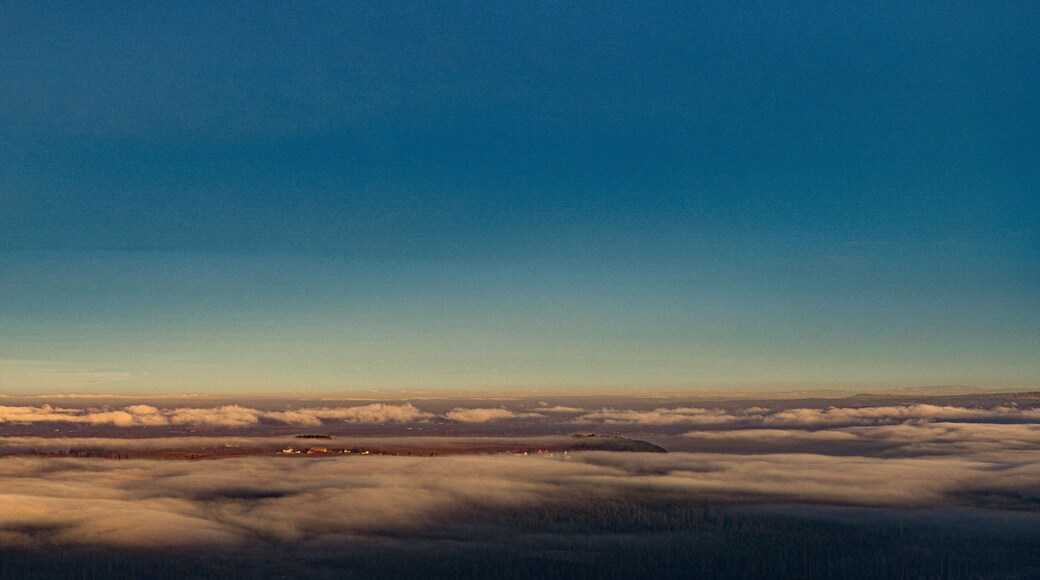 อูสเตร ทูทึน