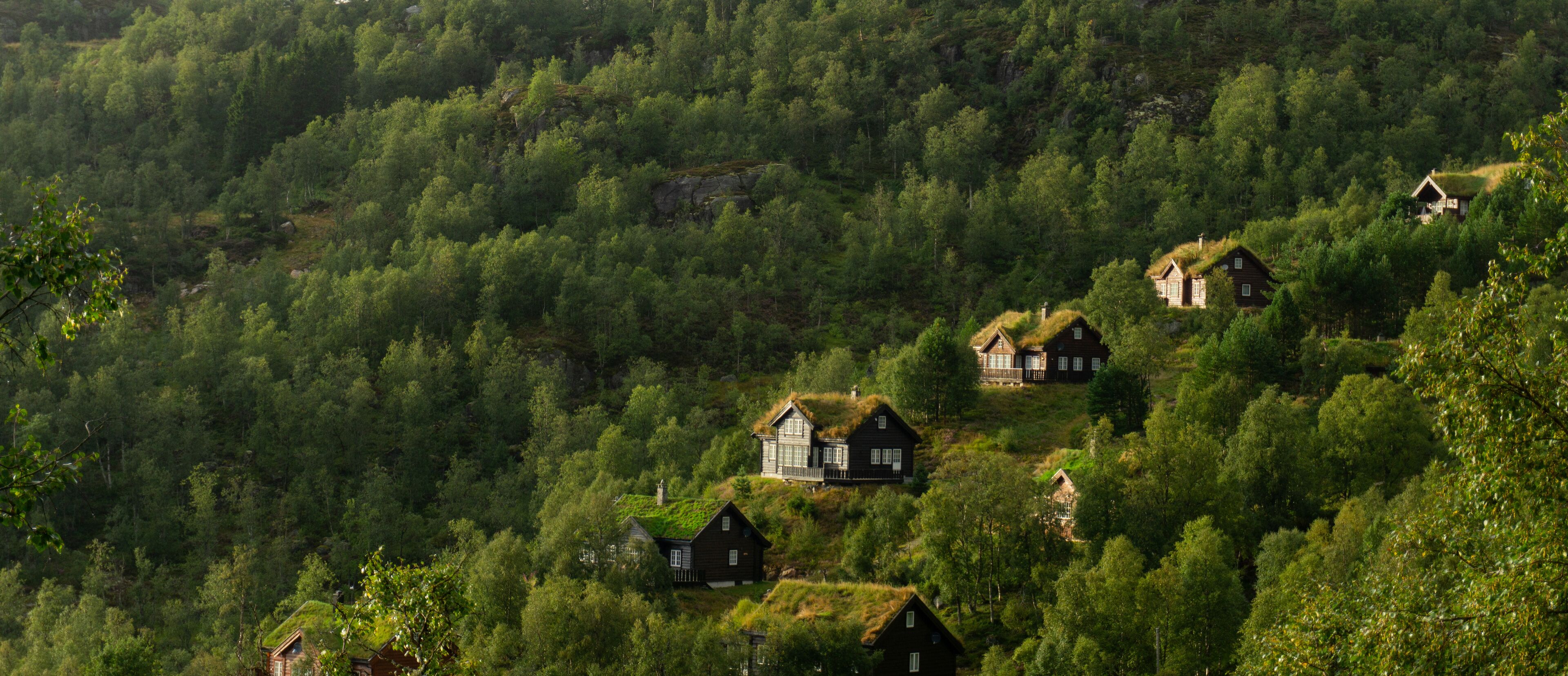 A cluster of houses with thatched roofs nestled in a dense forest.